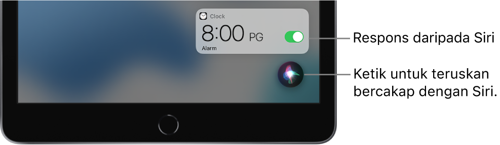 Siri pada Skrin Utama. Pemberitahuan daripada app Jam menunjukkan penggera disetkan pada jam 8:00 pagi. Butang di bahagian kanan bawah skrin digunakan untuk terus bercakap dengan Siri.