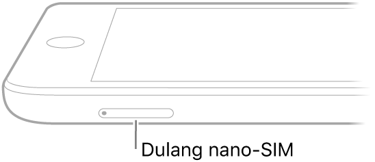 Paparan sisi iPad dengan petak bual pada dulang nano-SIM.