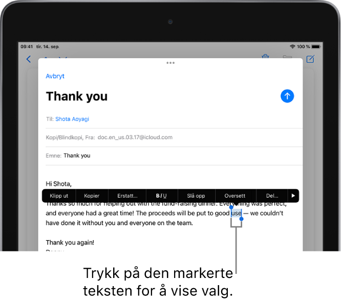 Et eksempel på en e-postmelding med noe av teksten markert. Over markeringen vises knappene Klipp ut, Kopier, Lim inn og Erstatt sammen med flere kommandoer. Den markerte teksten er markert og har håndtak i hver ende.