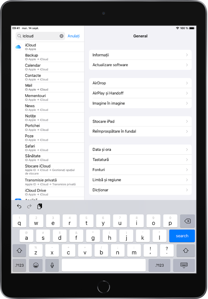 Ecranul configurărilor de căutare în partea de sus. Termenul de căutare “iCloud” este în câmpul de căutare și configurările găsite se află în lista de mai jos.