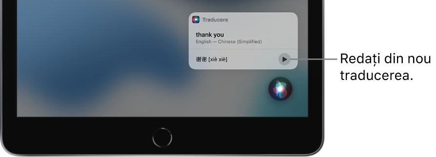 Siri afișează o traducere a expresiei “thank you” din limba engleză în chineză mandarină. Butonul din dreapta traducerii redă din nou traducerea.