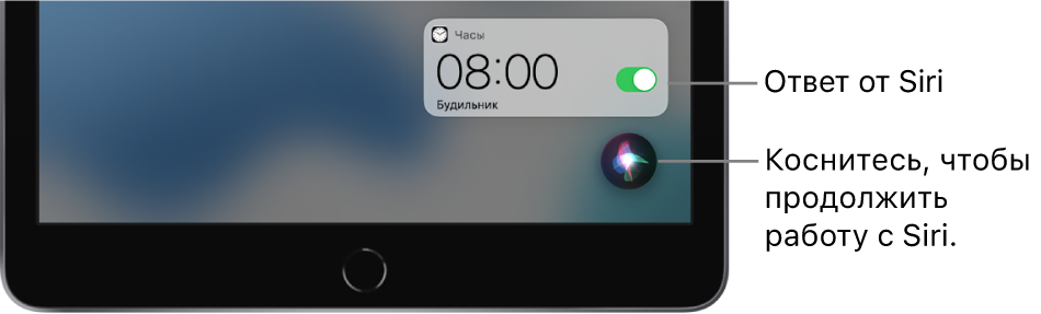 Siri на экране «Домой». Уведомление приложения «Часы» о том, что будильник установлен на 8:00. Коснувшись кнопки в правом нижнем углу, можно продолжить работу с Siri.