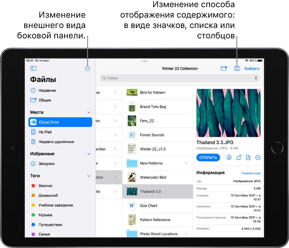 Хранилище iCloud Drive. Показаны кнопки для изменения порядка на боковой панели, для сортировки по названию, по дате, по размеру, по тегам и для переключения вида со списка на значки и наоборот.