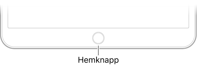 Hemknappen längst ned på iPad.