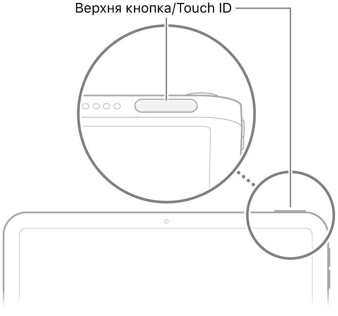 Верхня кнопка/Touch ID вгорі iPad.