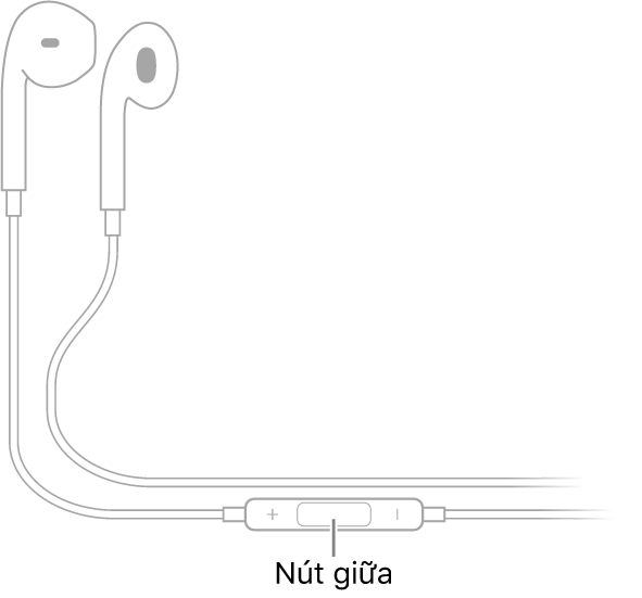Apple EarPods; nút giữa được đặt trên dây dẫn tới tai nghe dành cho tai bên phải