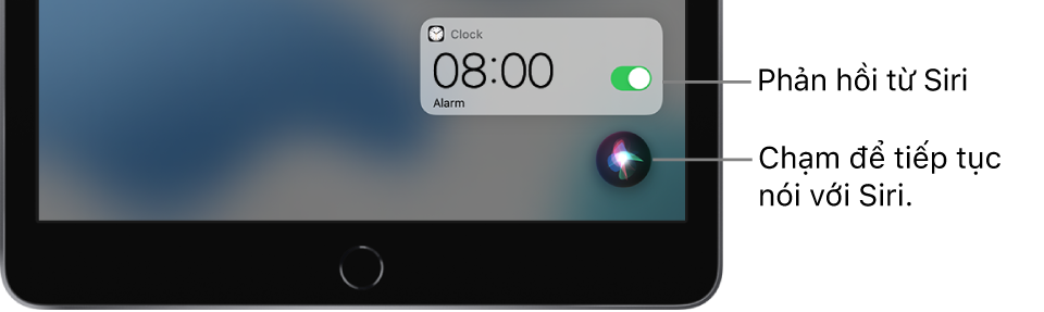 Siri trên Màn hình chính. Một thông báo từ ứng dụng Đồng hồ cho biết rằng báo thức đã được bật cho lúc 8:00 sáng. Một nút ở dưới cùng bên phải của màn hình được sử dụng để tiếp tục nói với Siri.