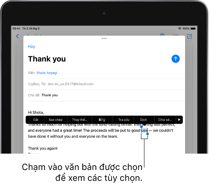 Một email mẫu với một số văn bản được chọn. Phía trên phần được chọn là các nút Cắt, Sao chép, Dán và Thay thế và nhiều lệnh khác. Văn bản đã chọn được tô sáng với các điều khiển ở một trong hai đầu.