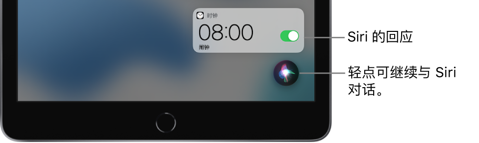 Siri 在主屏幕上。来自“时钟” App 的通知，显示上午 8:00 的闹钟已打开。屏幕底部右侧的按钮用于继续与 Siri 对话。