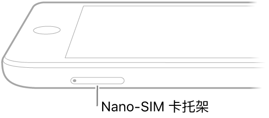 iPad 侧面视图，带有指向 nano-SIM 卡托的标注。