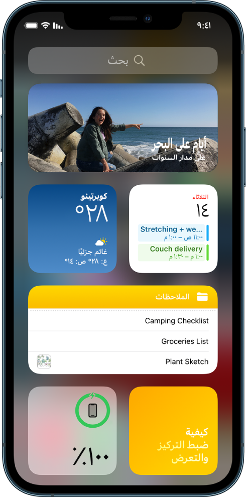 الأدوات في معرض أدوات iPhone، وتشمل أدوات الصور والتقويم والطقس.