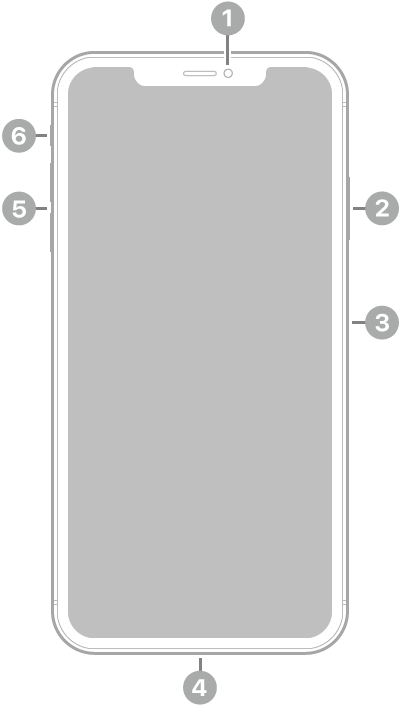 Anvers de l’iPhone XS Max. La càmera frontal és a la part superior central. Al costat dret, de dalt a baix, hi ha el botó lateral i la safata de la SIM. El connector Lightning és a la part inferior. Al costat esquerre, de baix a dalt, hi ha els botons de volum i el selector de so/silenci.