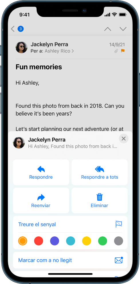 Un correu electrònic que mostra les opcions de resposta a sota. A sota d’aquestes opcions hi ha les opcions de color per a les marques.