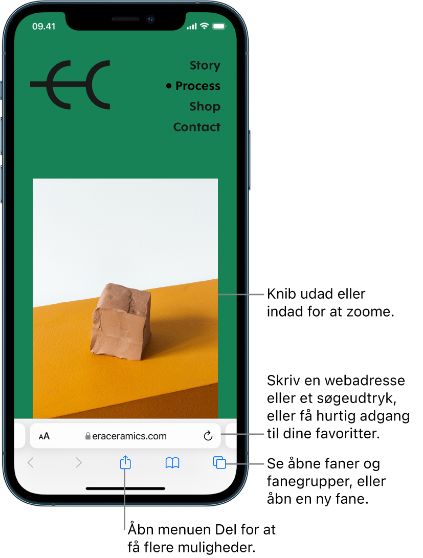 Et websted er åbent i Safari med adressefeltet nederst. Nederst fra venstre til højre ses knapperne Tilbage, Frem, Del, Bogmærker og Faner.