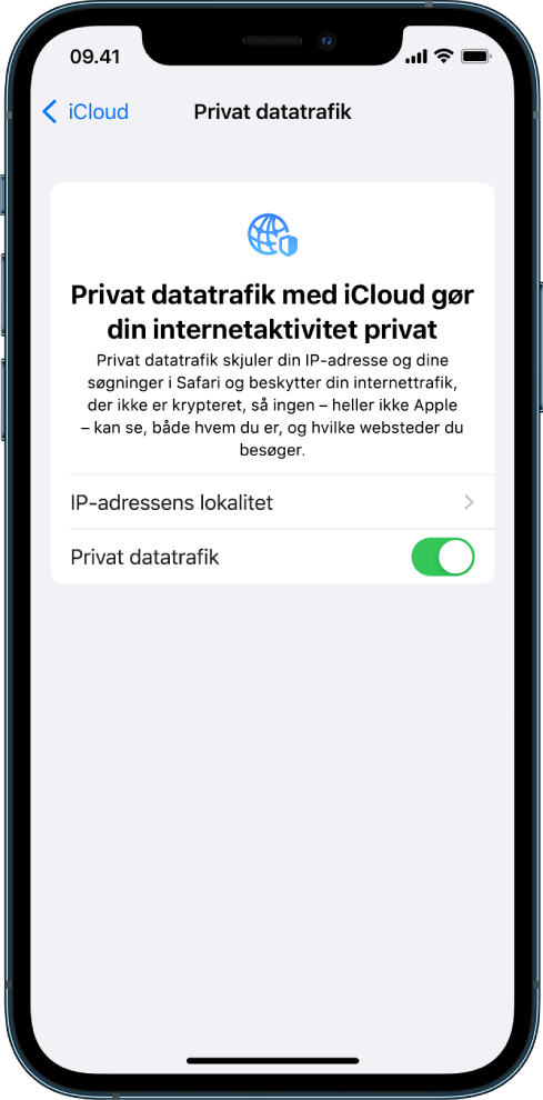 Skærmen Indstillinger, hvor du slår Privat datatrafik til eller fra.