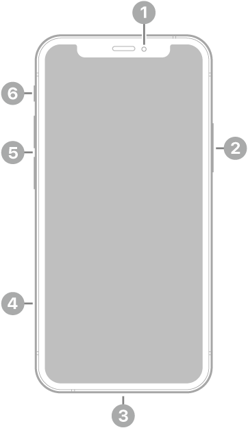 The front view of iPhone 12 mini. The front camera is at the top center. The side button is on the right side. The Lightning connector is on the bottom. On the left side, from bottom to top, are the SIM tray, the volume buttons, and the ring/silent switch.