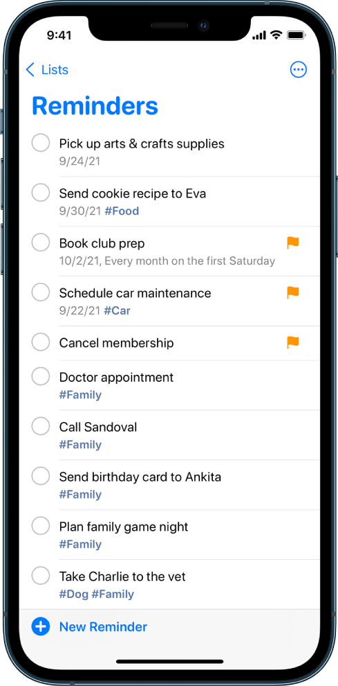 A Reminders screen showing a to-do list. The New Reminder button is at the bottom left.
