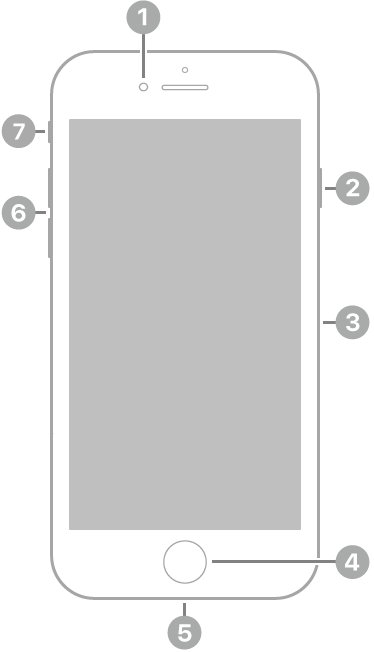 El frente del iPhone SE (segunda generación). La cámara frontal está en la parte superior, a la izquierda de la bocina. En el lateral derecho, de arriba a abajo, se encuentran el botón lateral y la bandeja de la tarjeta SIM. El botón de Inicio se sitúa en el centro inferior. El conector Lightning está en el borde inferior. En el lateral izquierdo, de abajo a arriba, se encuentran los botones de volumen y el interruptor de tono/silencio.