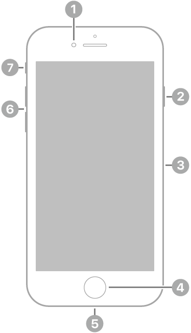 Vista frontal del iPhone 7. La cámara frontal está en la parte superior, a la izquierda del altavoz. En el lado derecho, de arriba a abajo, se encuentran el botón lateral y la bandeja SIM. El botón de inicio se encuentra en la parte inferior central. El conector Lightning está en el borde inferior. En el lado izquierdo, de abajo a arriba, se encuentran los botones de volumen y el conmutador de tono/silencio.