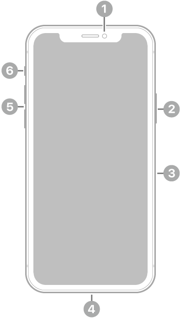 Vista frontal del iPhone 11 Pro. La cámara frontal se encuentra en la parte superior central. En el lado derecho, de arriba a abajo, se encuentran el botón lateral y la bandeja SIM. El conector Lightning está en la parte inferior. En el lado izquierdo, de abajo a arriba, se encuentran los botones de volumen y el conmutador de tono/silencio.