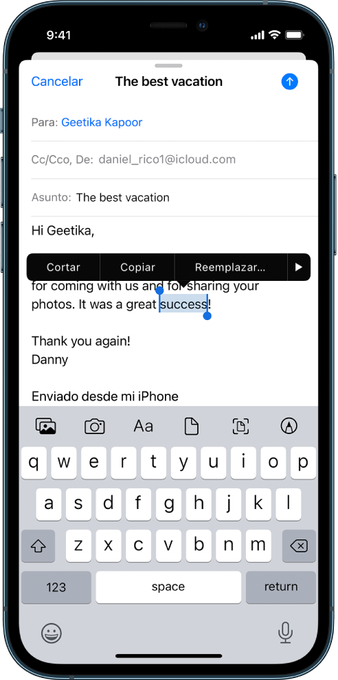 Mensaje de correo electrónico de ejemplo con parte del texto seleccionado. Encima de la selección están los botones Cortar, Copiar, Pegar y Reemplazar. El texto seleccionado está resaltado y presenta tiradores en ambos extremos.