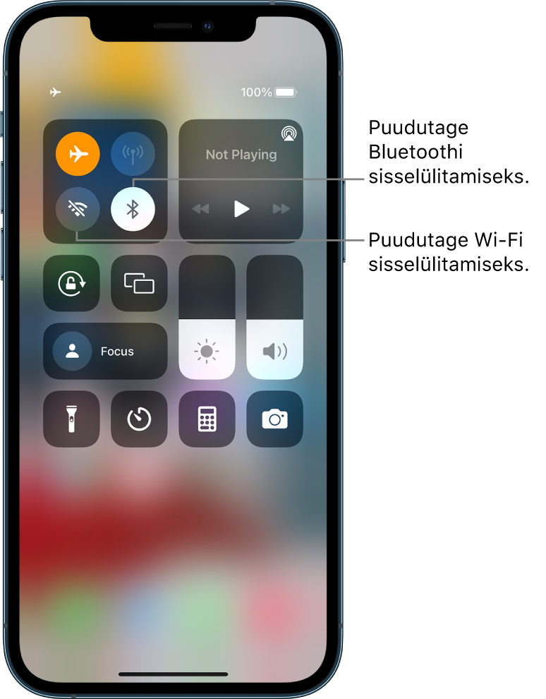 Control Center, kus on lennukirežiim lülitatud sisse. Control Centeri ülemises vasakus nurgas kuvatakse nupud Wi-Fi ja Bluetoothi sisselülitamiseks.