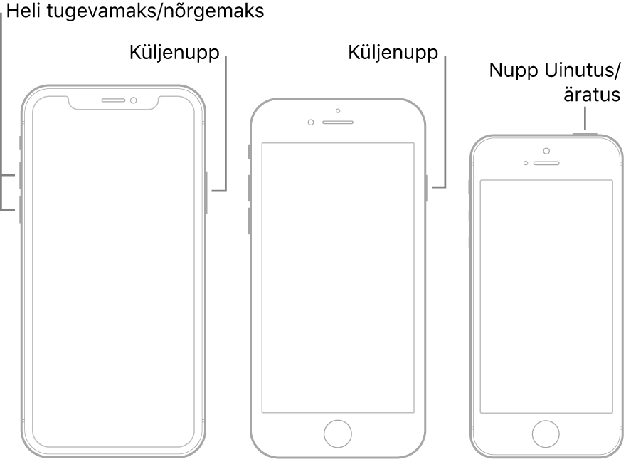 Kolme erineva iPhone’i mudeli joonised, kus kõigi ekraanid on suunatud ülespoole. Vasakpoolsel joonisel on näha, kuidas helitugevuse suurendamise ja vähendamise nupud asuvad seadme vasakul küljel. Küljenupp asub paremal. Keskmisel joonisel kuvatakse seadme paremal küljel asuvat küljenuppu. Kõige parempoolsemal joonisel kuvatakse seadme ülaosas asuvat nuppu Uinutus/äratus.
