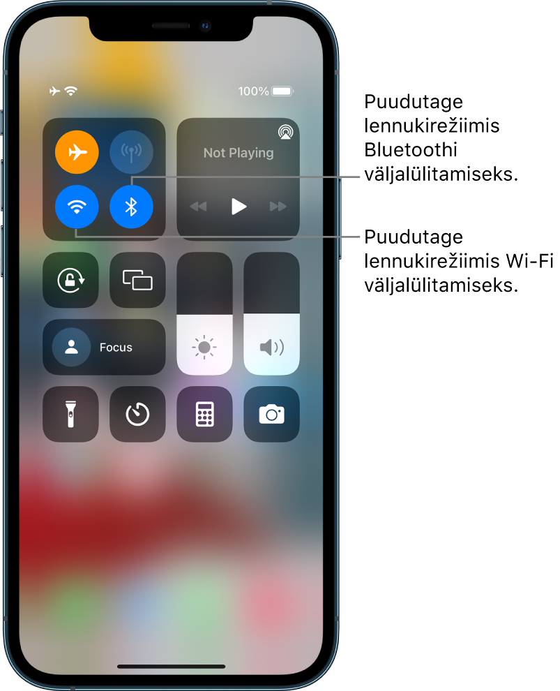 Control Center, kus on lennukirežiim lülitatud sisse. Juhikute ülemises vasakus grupis on nupp Wi-Fi (all vasakul) ja nupp Bluetooth (all paremal).