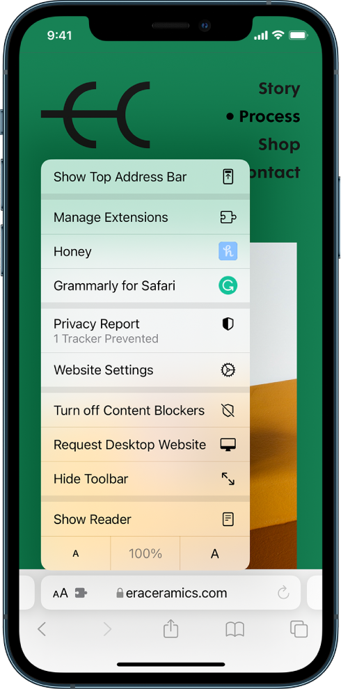 Menüü Page Settings. Ülaosas on valik Show Top Address Bar. Selle all on valik Manage Extensions, mille järel on installitud laiendused: Honey ja Grammarly for Safari.