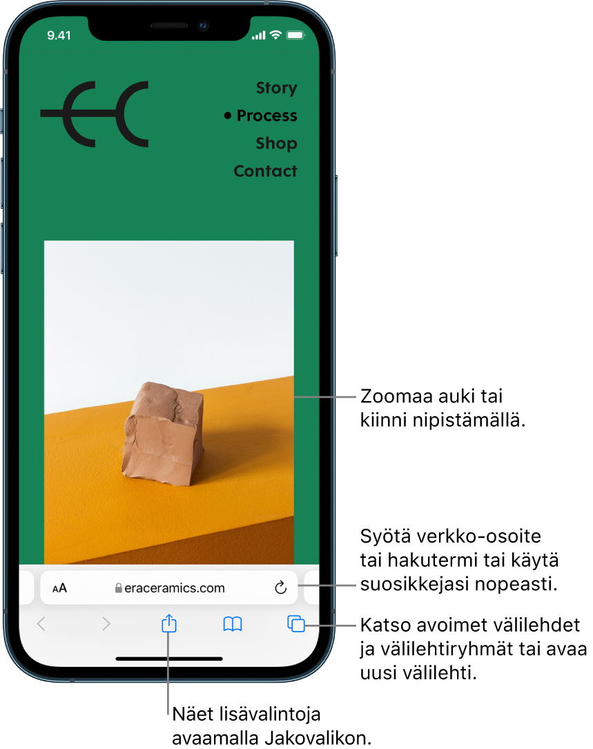 Verkkosivusto avoinna Safarissa, osoitekenttä alimpana. Alhaalla vasemmalta oikealle ovat Edellinen-, Seuraava-, Jaa-, Kirjanmerkit- ja Välilehdet-painikkeet.