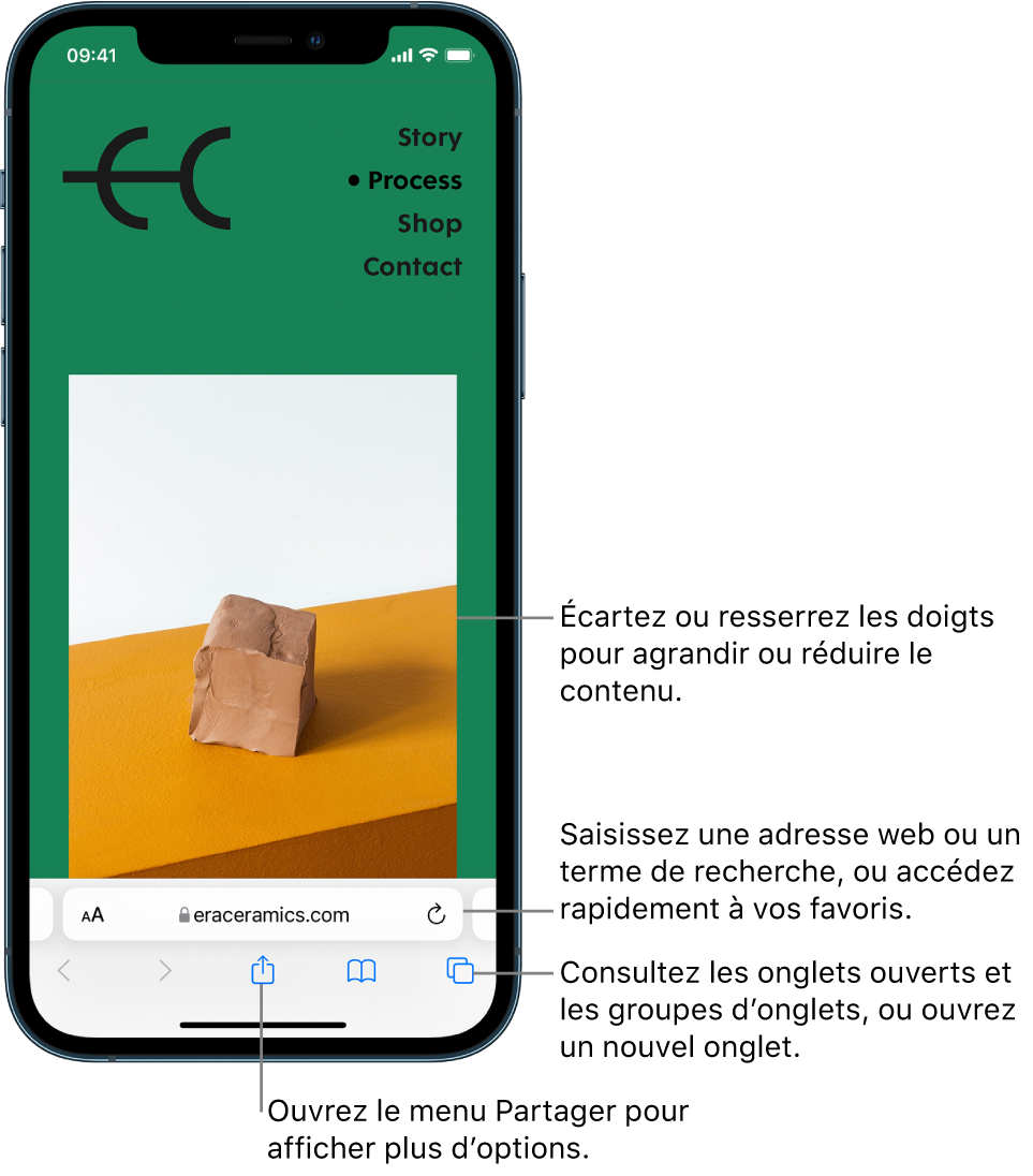 Un site web ouvert dans Safari, avec le champ d’adresse en bas. En bas de l’écran, de gauche à droite, se trouvent les boutons Précédent, Suivant, Partager, Signets et Onglets.
