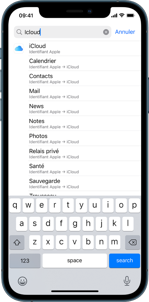 L’écran des réglages de recherche, avec le champ de recherche en haut. Le terme de recherche « iCloud » apparaît dans le champ de recherche, et les réglages trouvés s’affichent dans la liste située dessous.