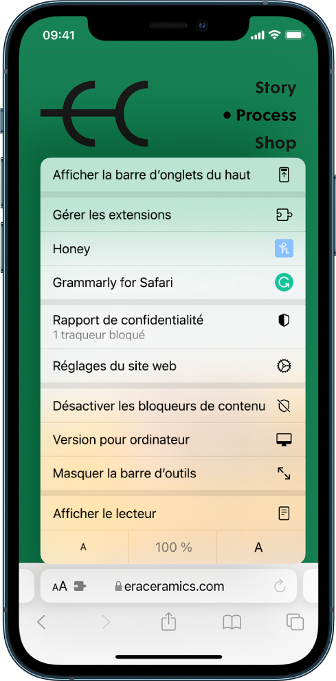 Le menu « Réglages de la page ». En haut se trouve l’option « Afficher la barre d’onglets du haut ». En dessous se trouve l’option « Gérer les extensions », suivie par les extensions installées : Honey et Grammarly pour Safari.