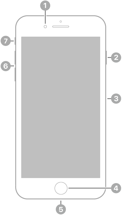 La vue de face de l’iPhone 7 Plus. L’appareil photo avant se trouve en haut, à gauche du haut-parleur. Sur le côté droit, de haut en bas, se trouvent le bouton latéral et le support pour carte SIM. Le bouton principal est situé en bas au centre. Le connecteur Lightning se trouve sur le bord inférieur. Sur le côté gauche, de bas en haut, se trouvent les boutons de volume et le bouton Sonnerie/Silence.