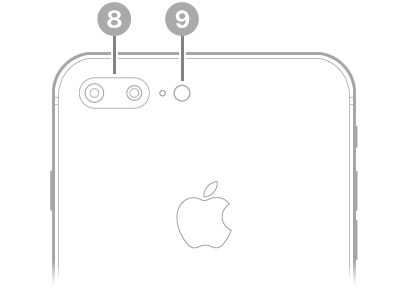 Stražnja strana uređaja iPhone 8 Plus. Stražnje kamere i bljeskalica nalaze se pri vrhu lijevo.