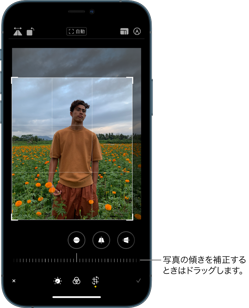 Iphoneで写真やビデオを編集する Apple サポート 日本