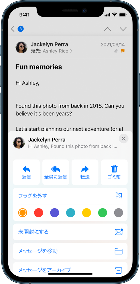 メール。下に返信オプションが表示されています。オプションの下で、フラグの色を選択できます。