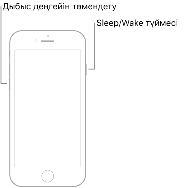 Экраны жоғары қарап тұрған iPhone 7 құрылғысының суреті. Дыбыс деңгейін төмендету түймесі құрылғының сол жақ бүйірінде көрсетіледі, ал Sleep/Wake түймесі оң жақта көрсетіледі.