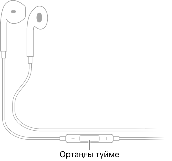 Apple EarPods; ортаңғы түйме оң құлаққа арналған құлақаспапқа апаратын сымда орналасқан.