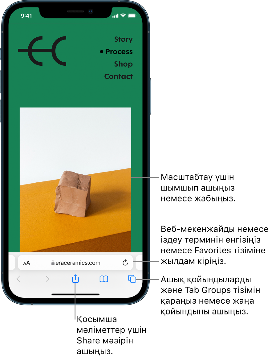 Төменгі жағында мекенжай өрісі бар Safari шолғышында ашық тұрған веб-торап. Төменде солдан оңға қарай — Back, Forward, Share, Bookmarks және Tabs қойындылары.