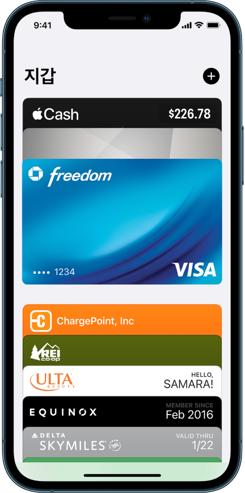 몇 개의 신용 카드 및 직불 카드와 패스를 표시하는 지갑 화면.