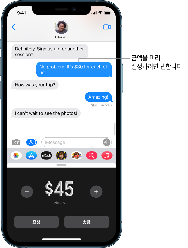 하단에 Apple Pay 앱이 열려 있는 iMessage 대화.