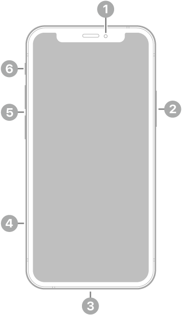 iPhone 12 mini의 전면. 상단 중앙에 전면 카메라가 있음. 오른쪽에 측면 버튼이 있음. 하단에 Lightning 커넥터가 있음. 왼쪽에는 아래에서 위로 SIM 트레이, 음량 버튼 및 벨소리/무음 스위치가 있음.