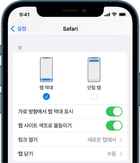 두 개의 Safari 레이아웃 옵션이 표시된 화면: 탭 막대 및 단일 탭.