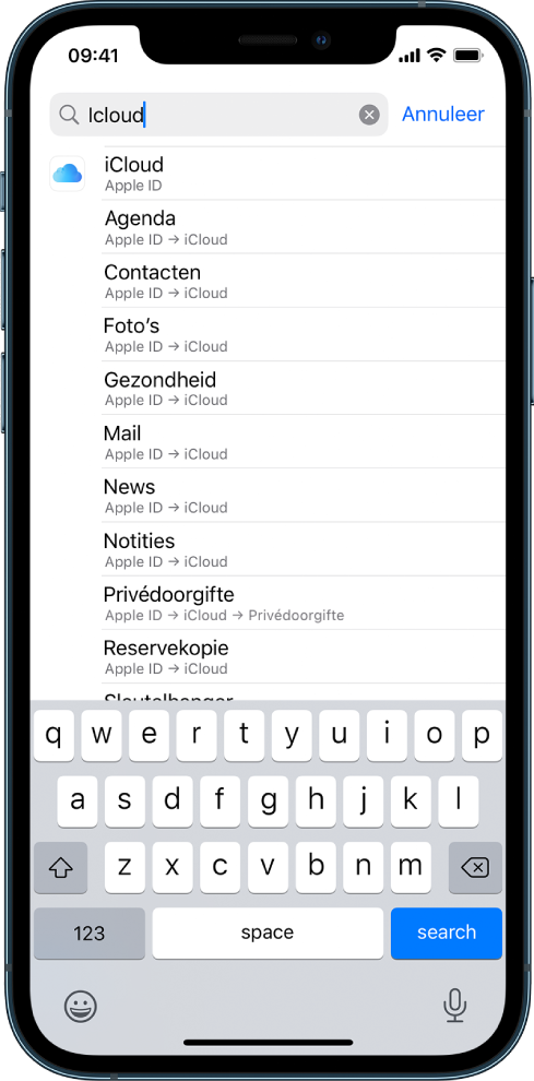 Het scherm om naar instellingen te zoeken, met het zoekveld bovenin. In het zoekveld staat de zoektekst "iCloud" en in de lijst eronder staan de gevonden instellingen.
