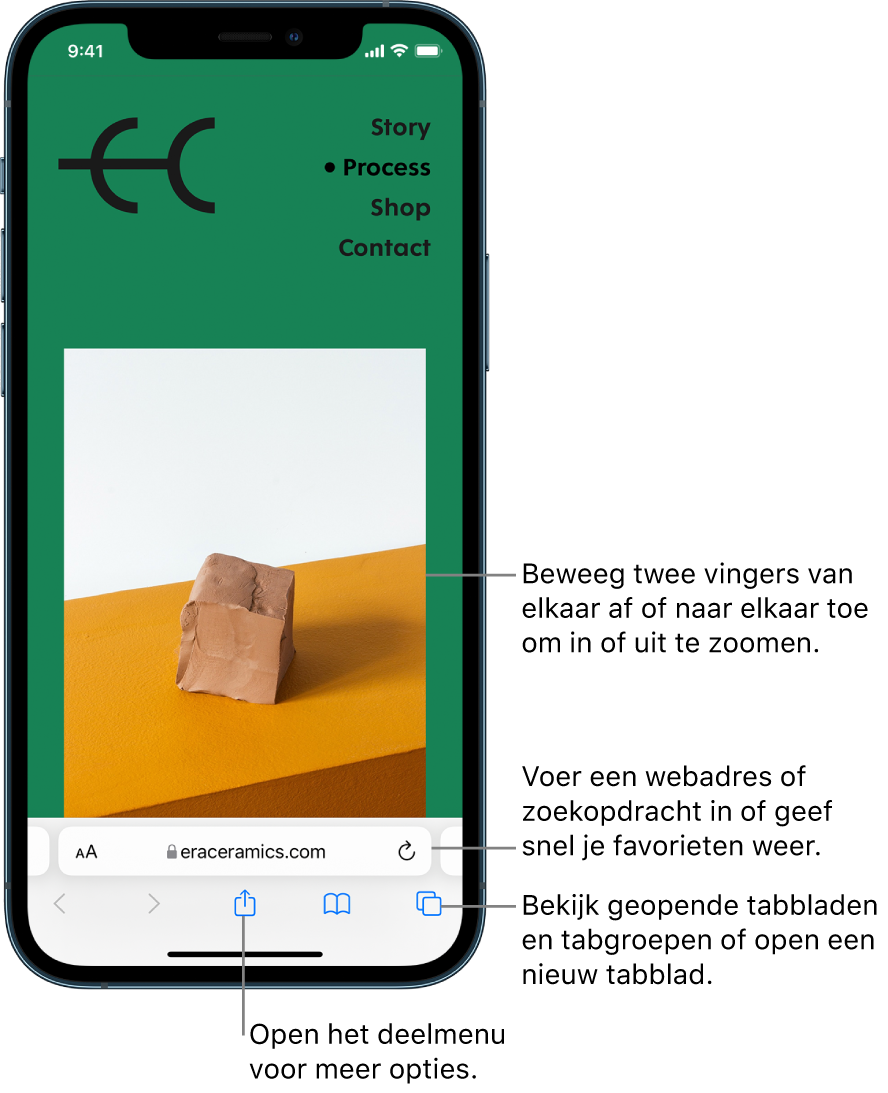 Een geopende website in Safari, met onderin het adresveld. Onderin staan van links naar rechts de knoppen voor de vorige en volgende pagina en de deel-, bladwijzer- en tabbladknop.