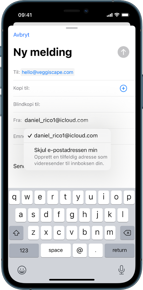 Det utarbeides et e-postutkast. Fra-feltet er markert, og det vises to valg nedenfor – en privat e-postadresse og Skjul e-postadressen min.