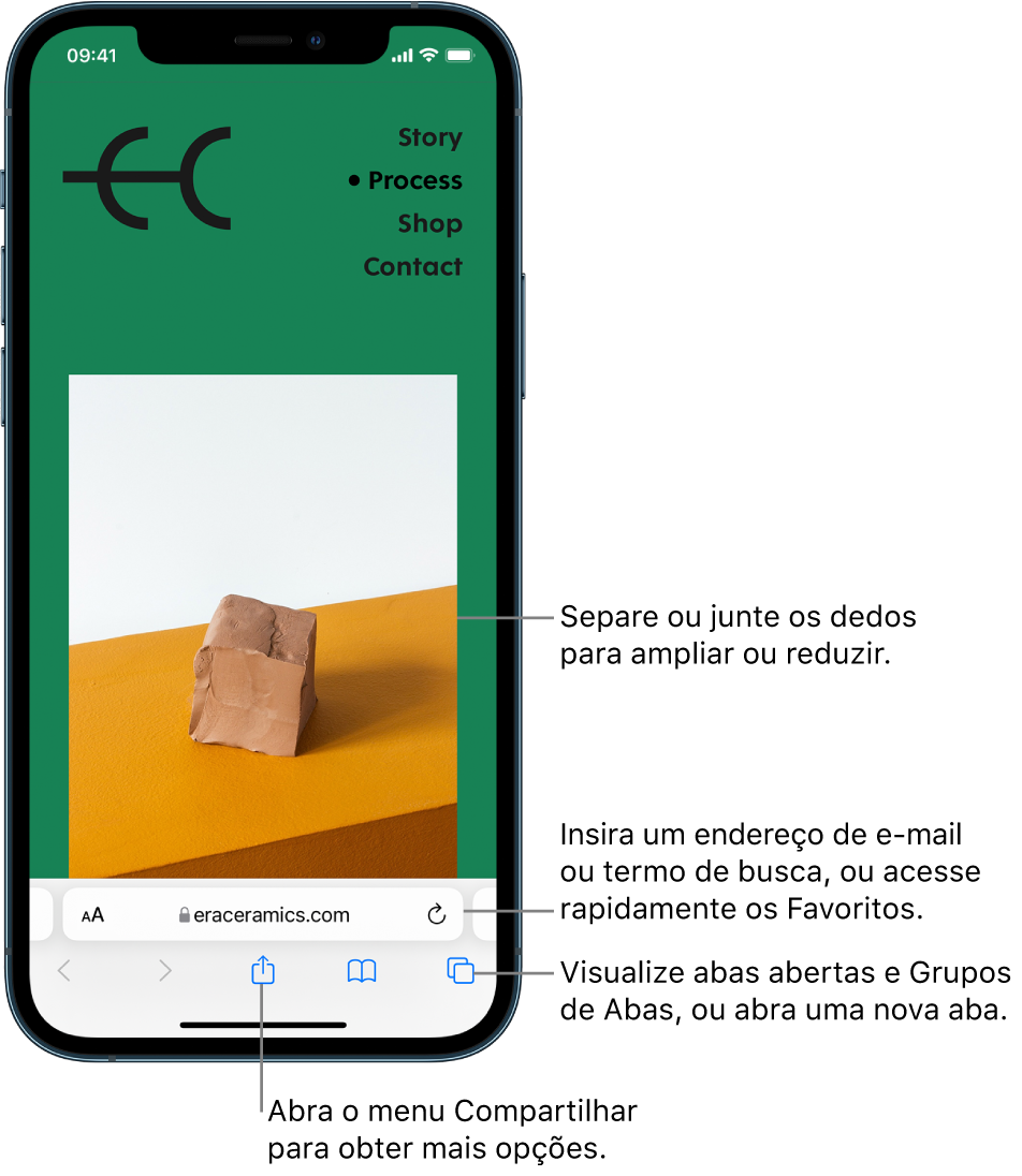 Site aberto no Safari, com o campo de endereço na parte inferior. Na parte inferior, da esquerda para a direita, estão os botões Voltar, Avançar, Compartilhar, Favoritos e Abas.