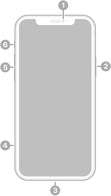 Vista frontal do iPhone 12. A câmera frontal está na parte superior central. O botão lateral encontra-se no lado direito. O conector Lightning encontra-se na parte inferior. No lado esquerdo, de baixo para cima, estão a bandeja do SIM, os botões de volume e o interruptor toque/silencioso.