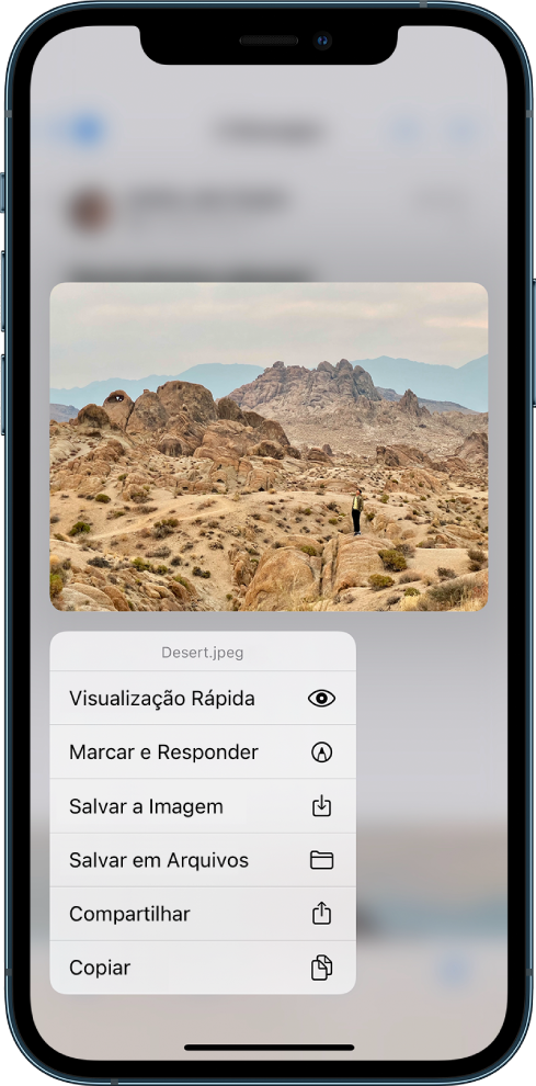 Um anexo de e‑mail está selecionado, com as ações possíveis em uma lista. As opções incluem: Visualização Rápida, Marcar e Responder, Salvar Imagem, Salvar em Arquivos, Compartilhar e Copiar.